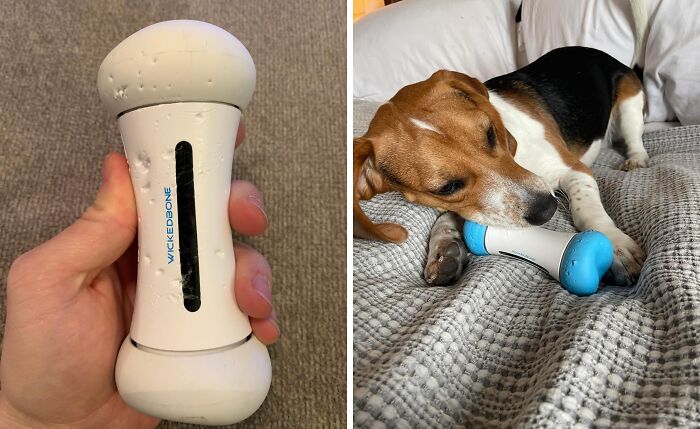  Smart Bone Dog Toy: Fetch 2.0 - This Bone Has Brains!