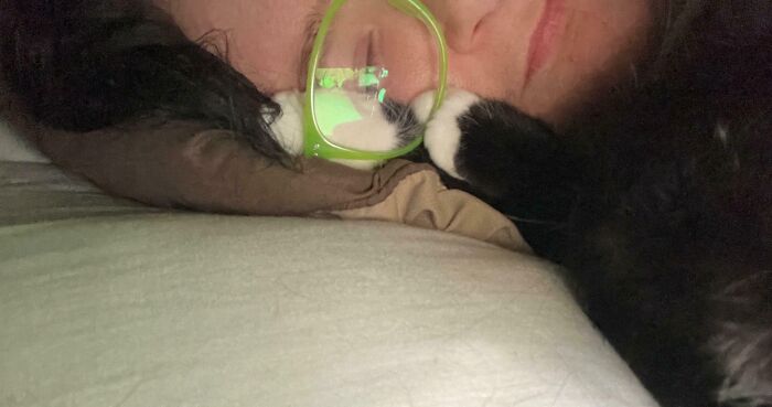 My Kitten Likes To Put His Paws In Between My Face And Glasses While We Sleep