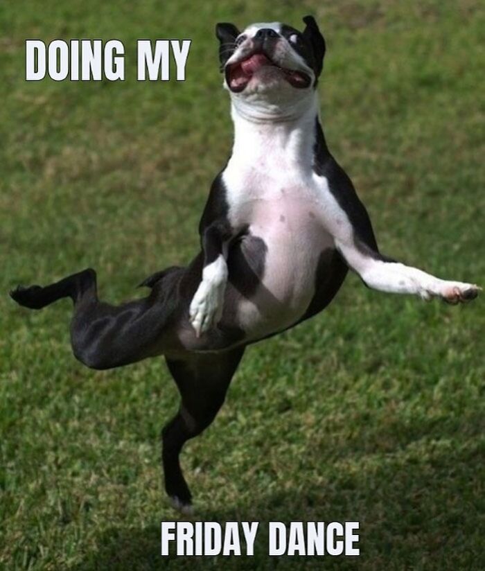 A dog is dancing in the air because of Friday.