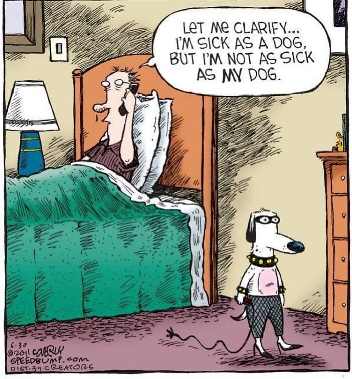 Dave Coverly's 'Speed Bump': A Delightful Dive Into The World Of Dogs (43 Pics)
