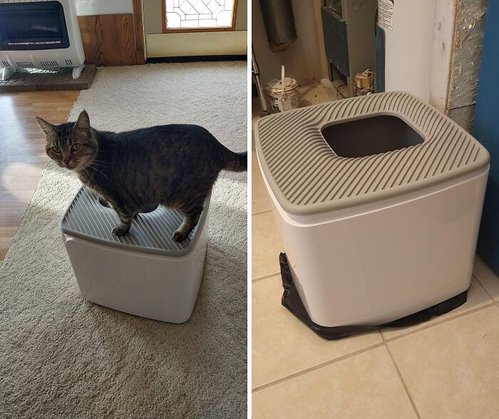 This round Top Entry Cat Litter Box Gives Your Cat The Mess-Free Private Experience They Deserve