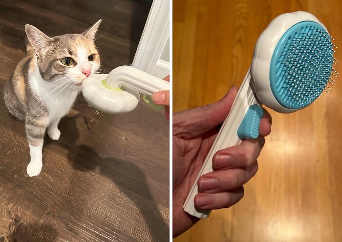 Pamper Your Pet (And Your Floors) With The Self-Cleaning Cat & Dog Brush
