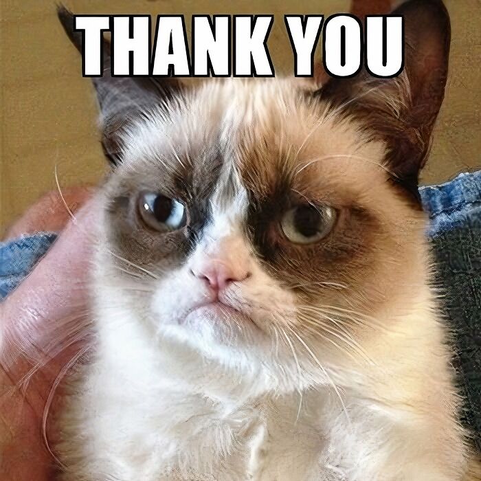 Grumpy Cat with a grumpy expression and the text "THANK YOU."