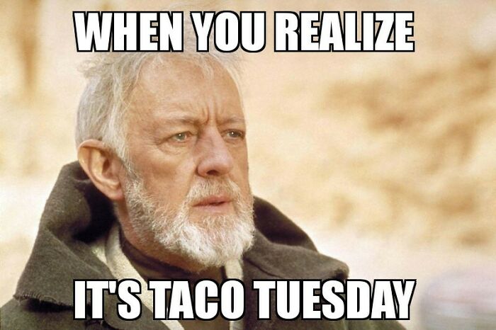Old Jedi is thinking about Taco Tuesday.