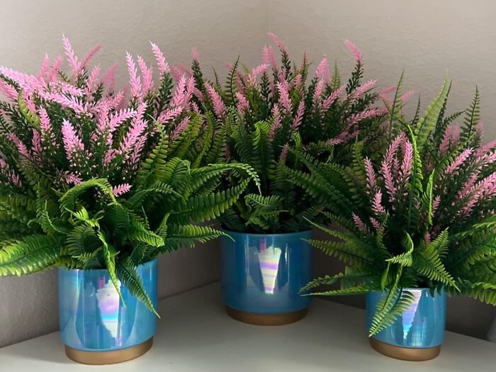  Holographic Pots For Plants Make Your Indoor Jungle Sparkle And Shine