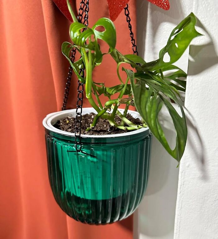  Self-Watering Hanging Planters: The "Forgetful Gardener's" Dream Come True 