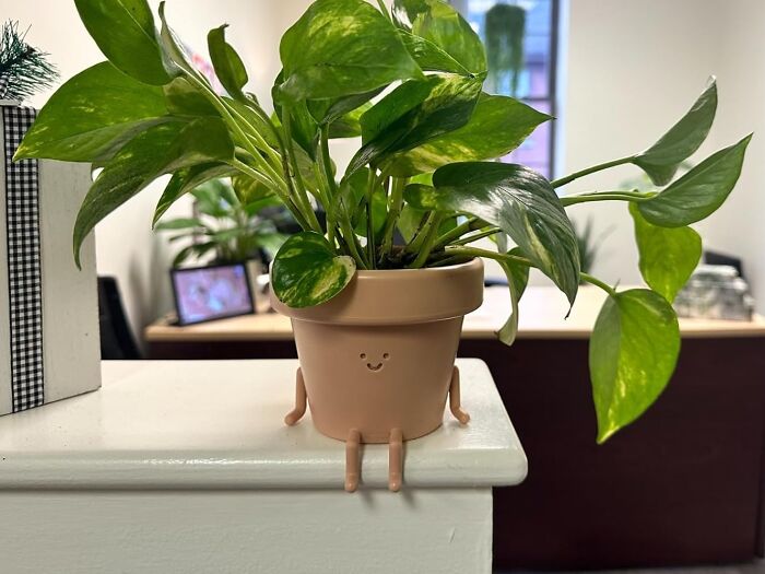  Earthlings Legs Out Pot: The Conversation Starter That Will Make Your Plants The Life Of The Party
