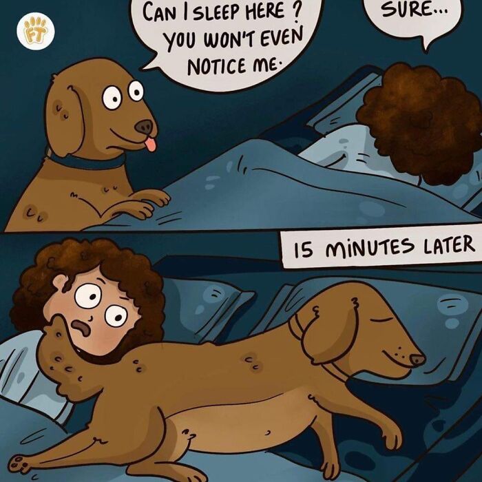 Hilarious-Dog-Memes