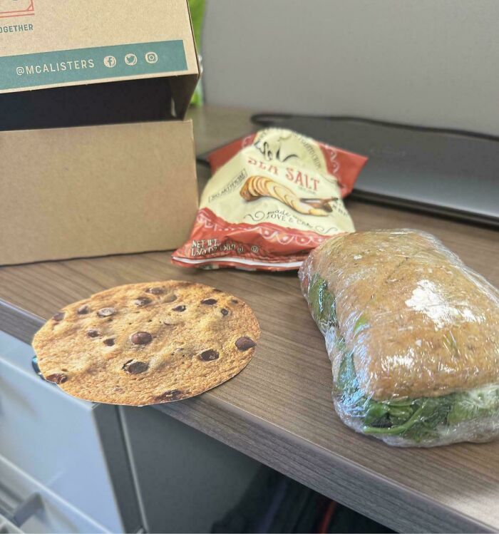 Lunch box with a sandwich, chips, and a thin cookie illustrating a boring dystopia theme.