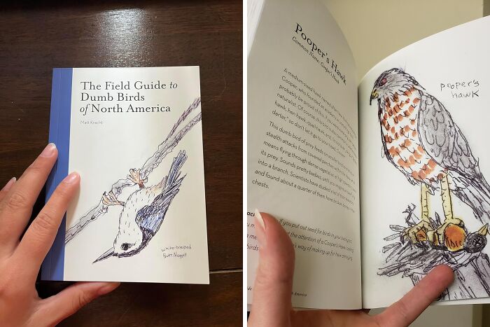" The Field Guide To Dumb Birds Of North America": The Hilariously Snarky Guide To The Feathered Idiots In Your Backyard
