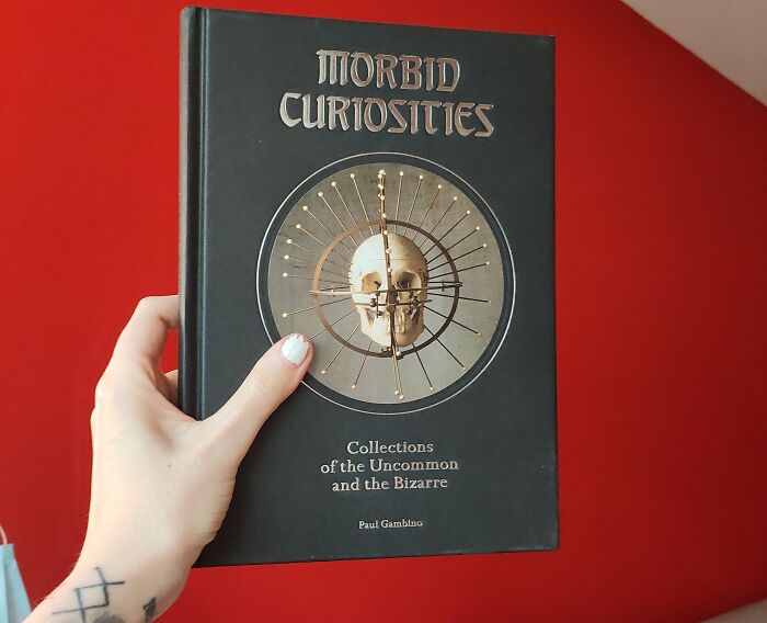 Fascinated By The Macabre? " Morbid Curiosities: Collections Of The Uncommon And The Bizarre" Will Feed Your Dark Curiosity