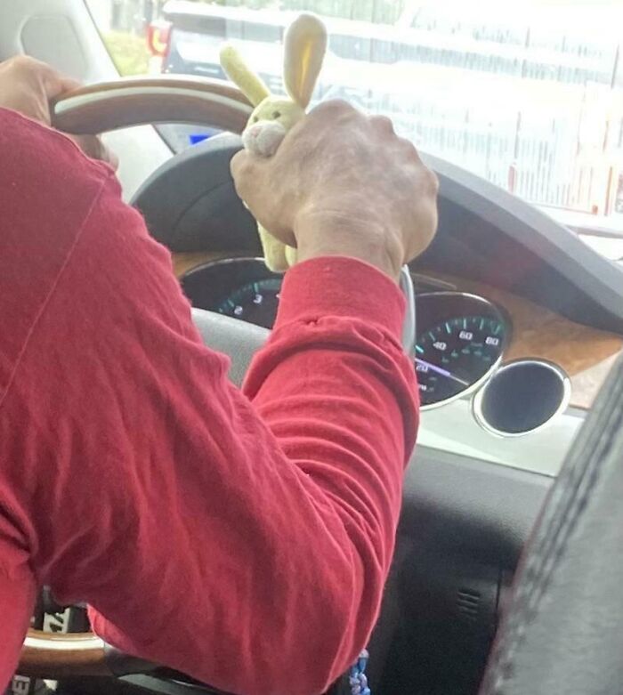 My Lyft Driver Holds A Stuffed Bunny While Driving