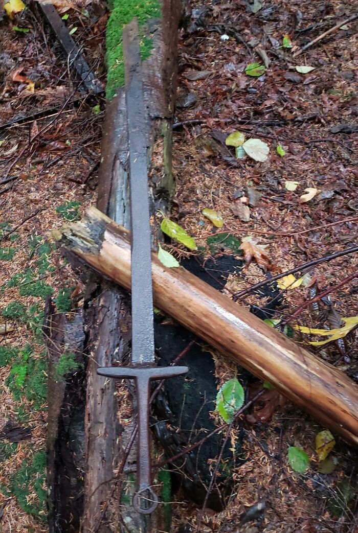 Found A Sword Hiking Near An Old Clearcut. British Columbia, South Coast