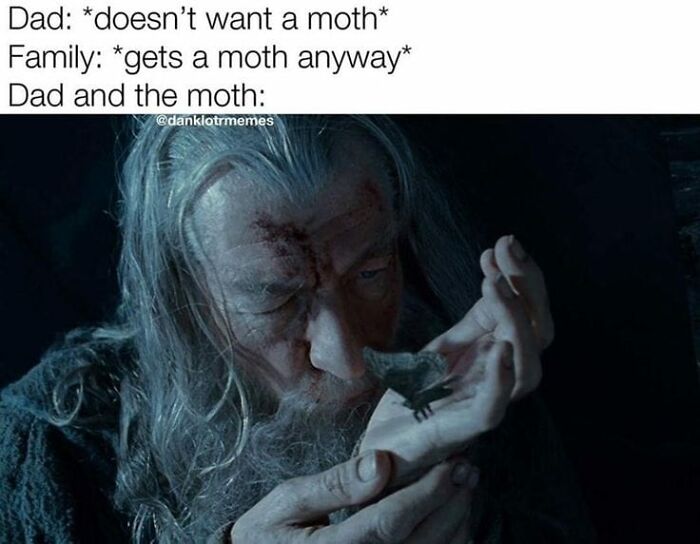 Funny-Lotr-Memes