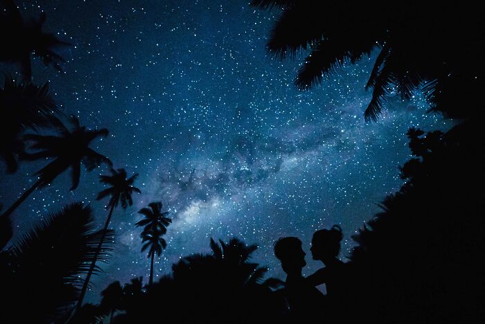 Silhouetted couple under a starry night sky, surrounded by palm trees, representing top destination wedding photography.