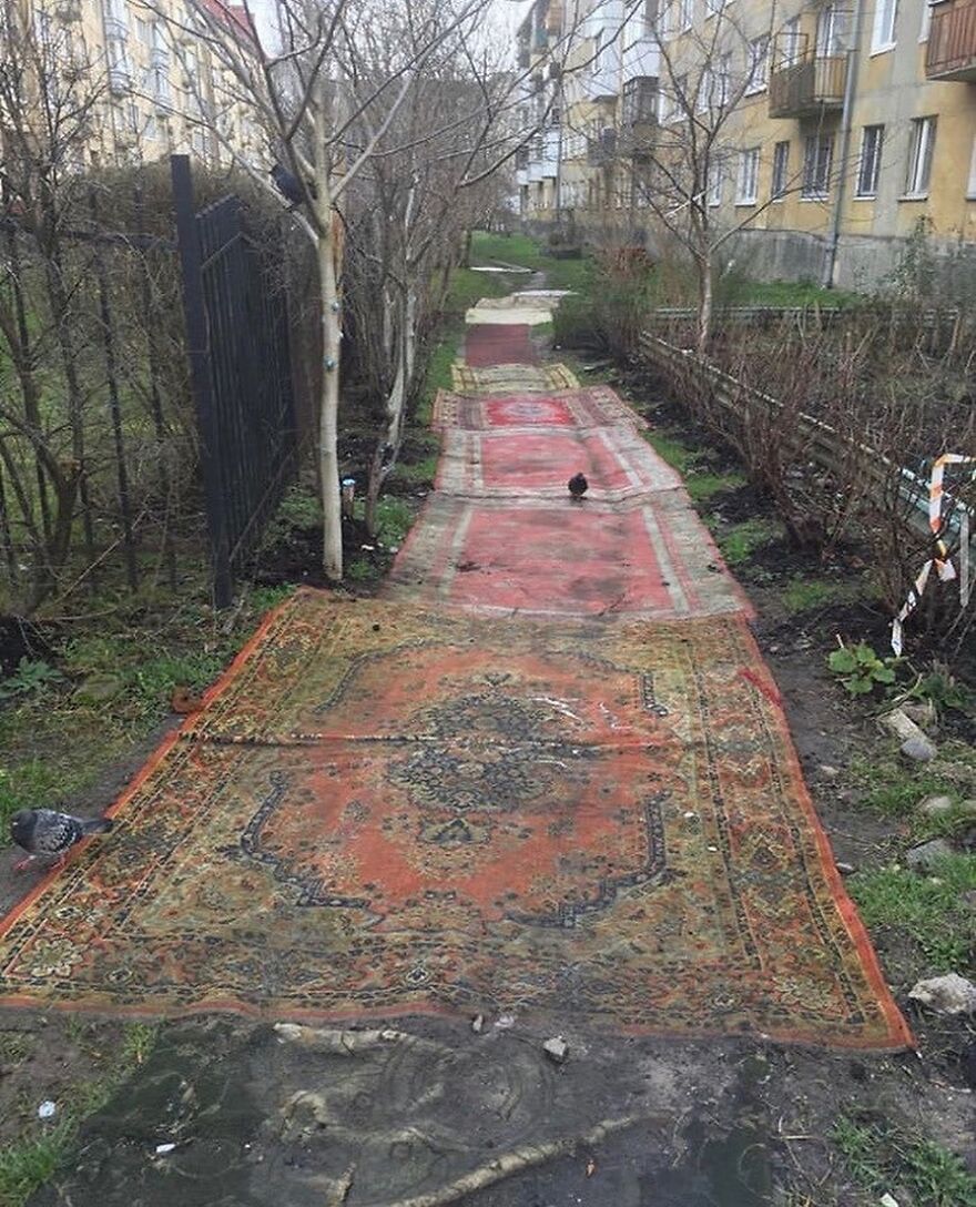 In Certain Places Like Russia, Carpets Are Placed On The Road To Prevent Erosion Slipping On Clay