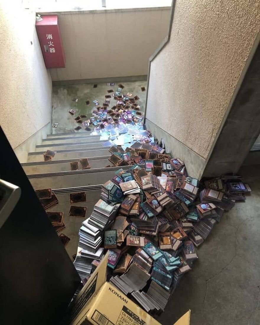 This Person Was Moving And Accidentally Dropped Their Yu-Gi-Oh! Collection