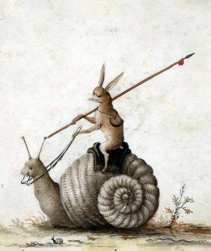 Battle Rabbit, Netherlands, Ca 1650