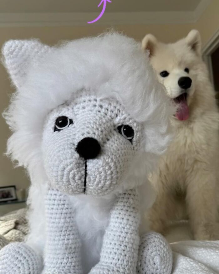 I Recreate People's Pets By Crocheting Their Replicas (7 Pics)