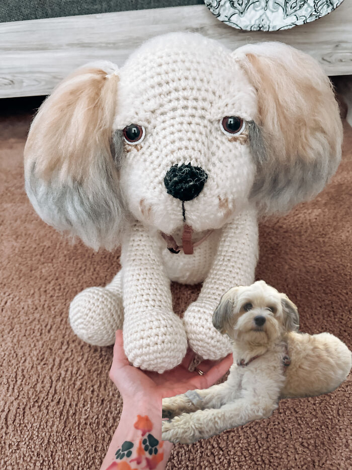 I Recreate People's Pets By Crocheting Their Replicas (7 Pics)