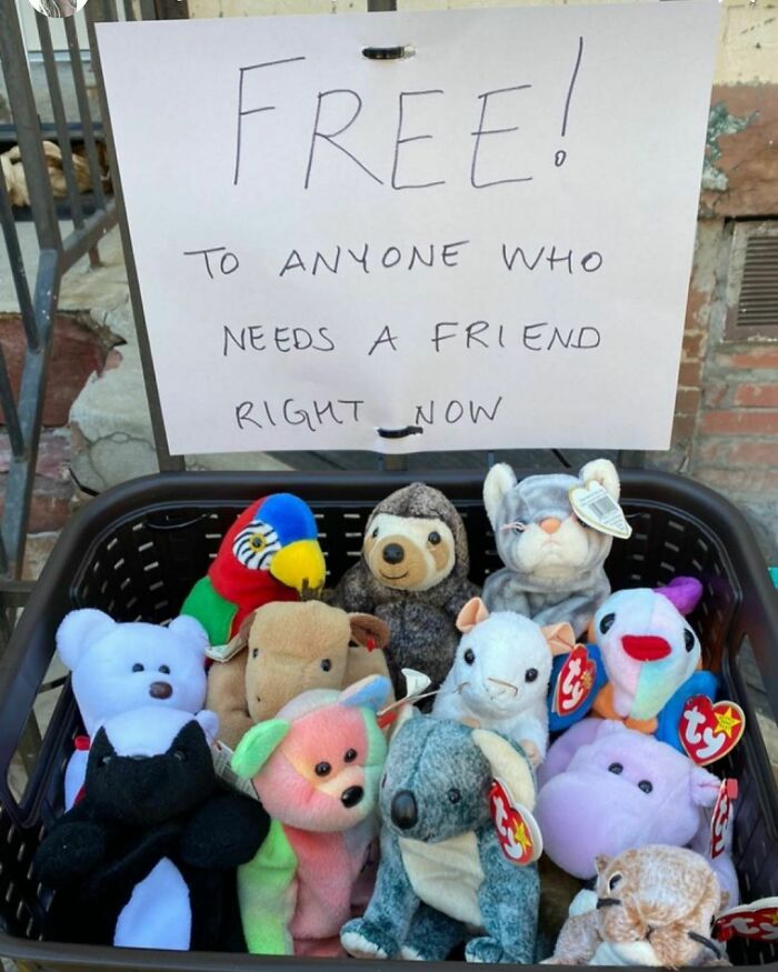 Beanie Babies Used To Have Real Value! They Still Might... But As The Sign Says The Real Value Is As A Friend. On Cooper Street Between Knickerbocker And Irving