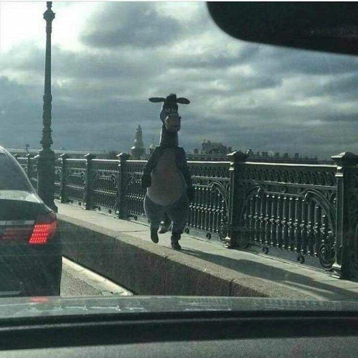 On His Way To Shreks Adventure In London