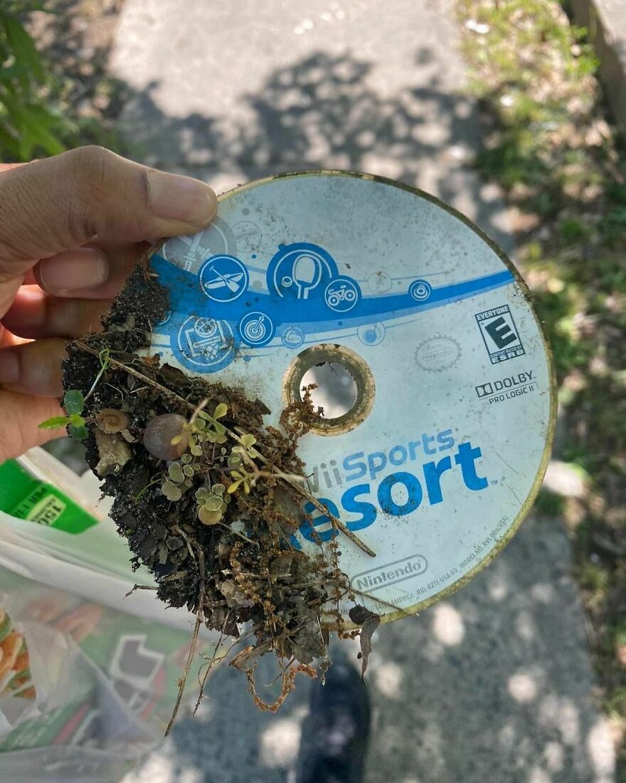 This Wii-Sports Video Game Disc Was Reclaimed By Nature When Pulled Out The Garbage