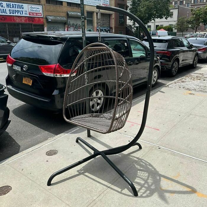 I Will Sit In This Chair And Read Sophisticated Literature. Or You Can. 785 Dekalb In Bk