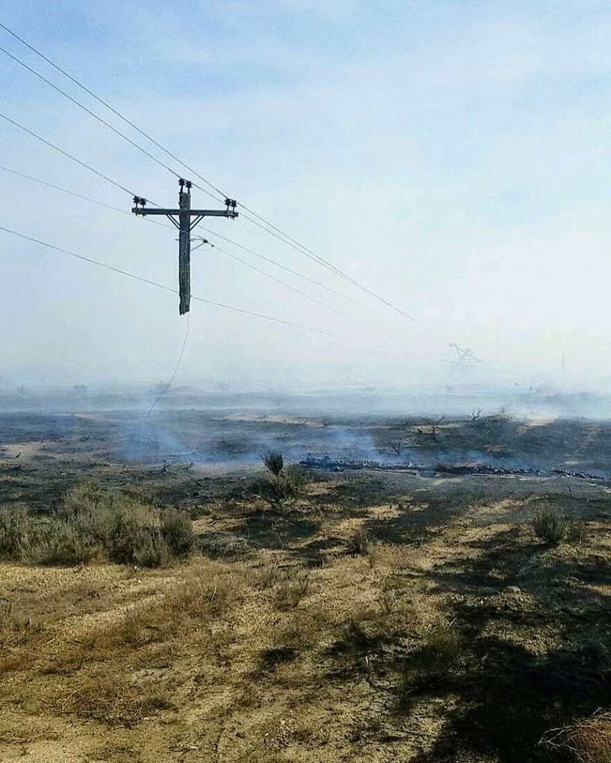 This Power Line Remained In Place After A Fire