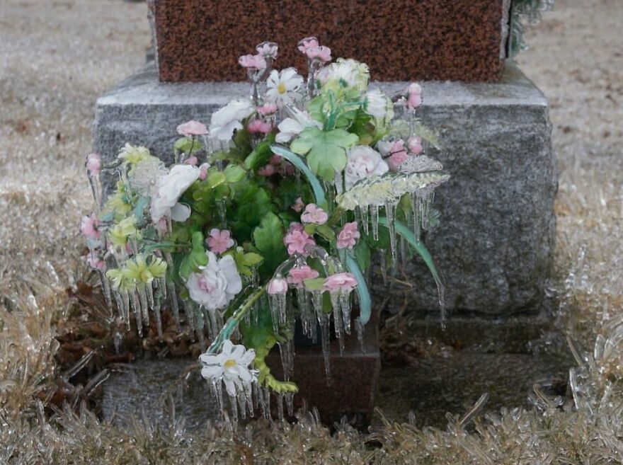 Cemetery Flowers After An Ice Storm