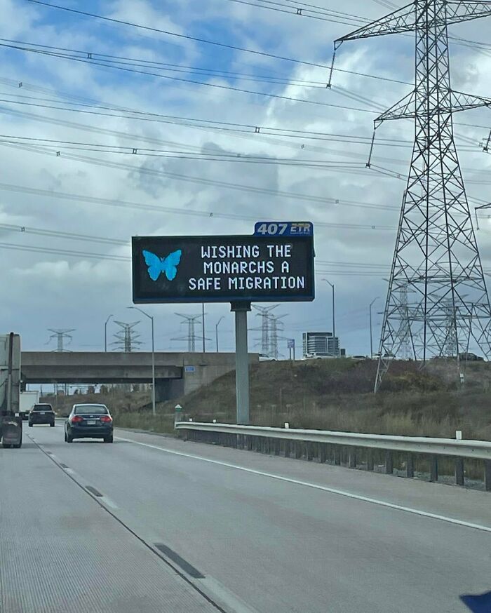 Road Sign Wishing Butterflies A Good Migration South For The Winter