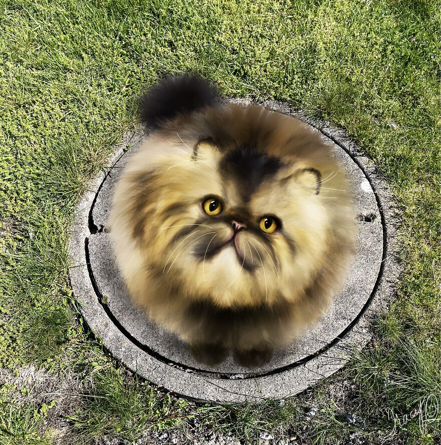 Round Kitty