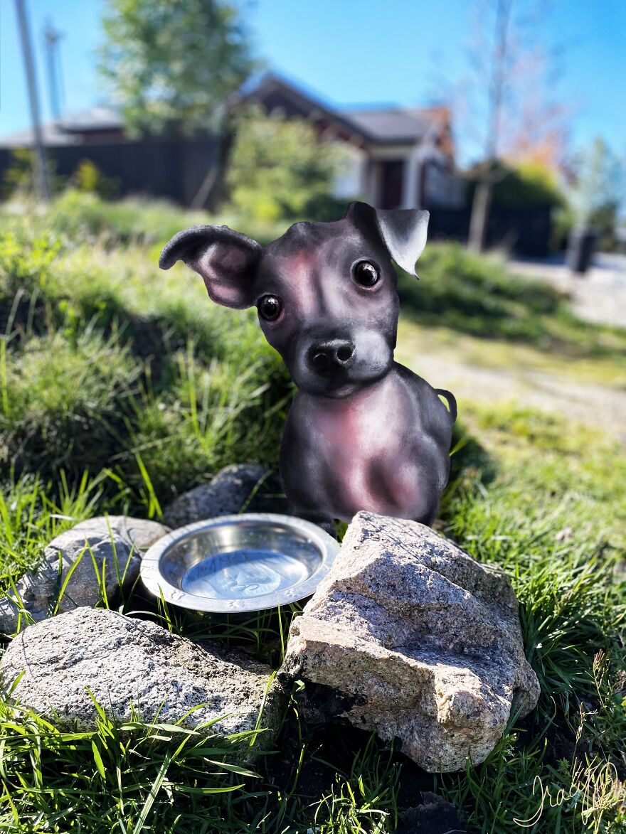 Xoloitzcuintle Puppy