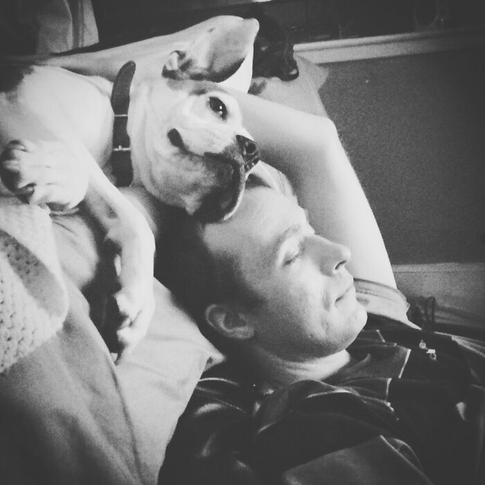 My BF And His Dog Millie, Inseperable Best Friends. We Lost Millie In November 2022 And David Died Suddenly In August 2023 Aged Just 35. I Am Heartbroken But Whenever I Think Of Them, I Picture Them Happy Together