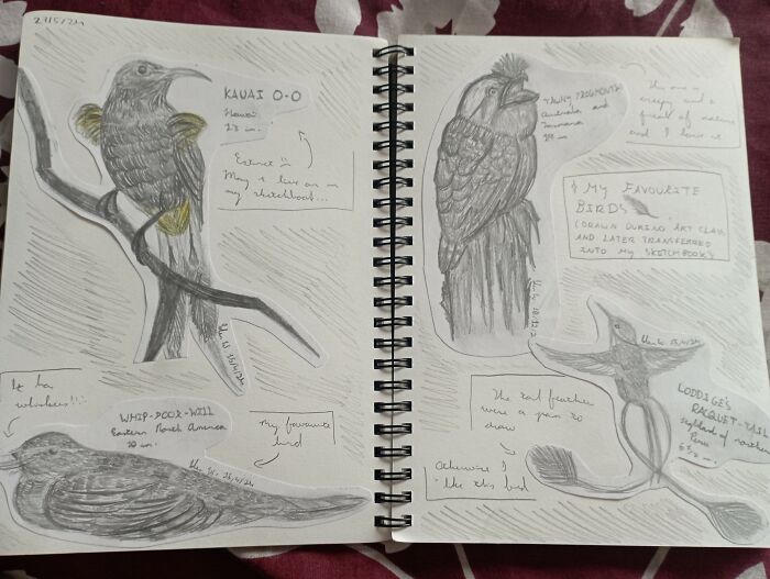 Some Of My Favourite Birds