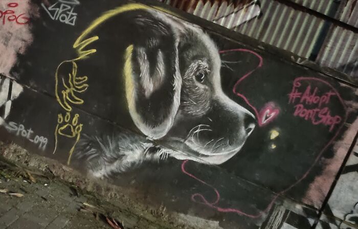 I Discovered This Captivating Street Art In Pune, India. The Artist Remains Unknown, But It Consistently Caught My Attention Each Time I Passed By