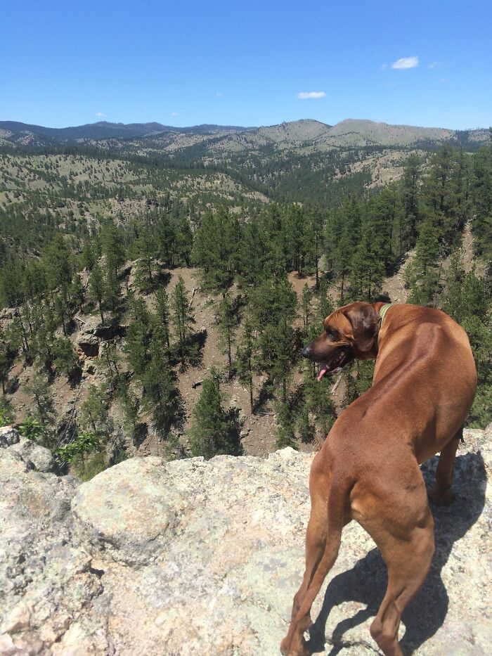 Not A Fan Of Heights, But He Loves The Views