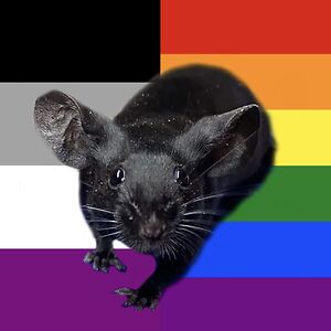 Goth Mouse (he/they)