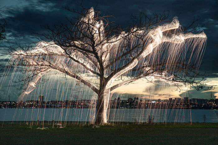 Light Drips From Trees In Long-Exposure Photos By Vitor Schietti (21 Pics)