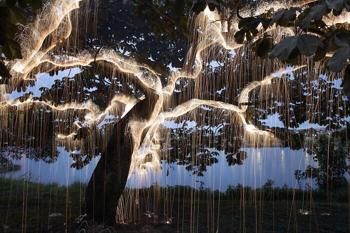 Light Drips From Trees In Long-Exposure Photos By Vitor Schietti (21 Pics)