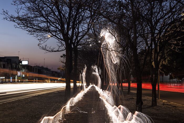 Light Drips From Trees In Long-Exposure Photos By Vitor Schietti (21 Pics)