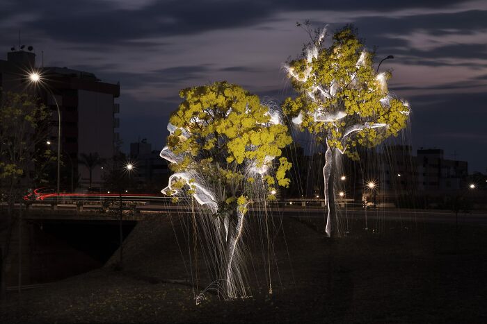 Light Drips From Trees In Long-Exposure Photos By Vitor Schietti (21 Pics)