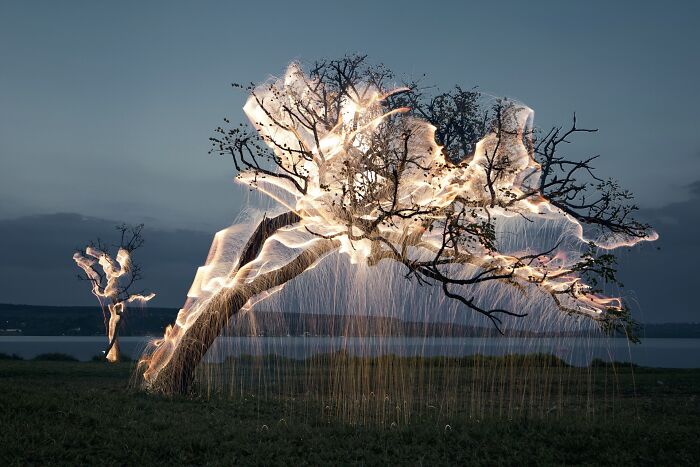 Light Drips From Trees In Long-Exposure Photos By Vitor Schietti (21 Pics)