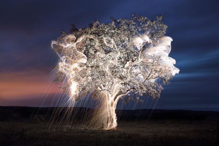 Light Drips From Trees In Long-Exposure Photos By Vitor Schietti (21 Pics)