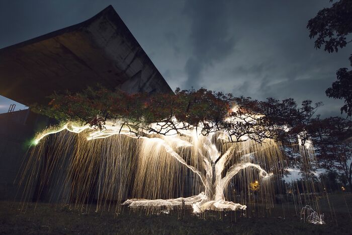 Light Drips From Trees In Long-Exposure Photos By Vitor Schietti (21 Pics)