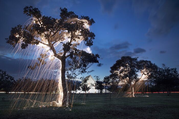 Light Drips From Trees In Long-Exposure Photos By Vitor Schietti (21 Pics)