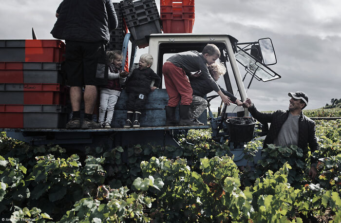 1st Place, Errazuriz Wine Photographer Of The Year - People: Les Liens Du Vin By Jonathan Thevenet