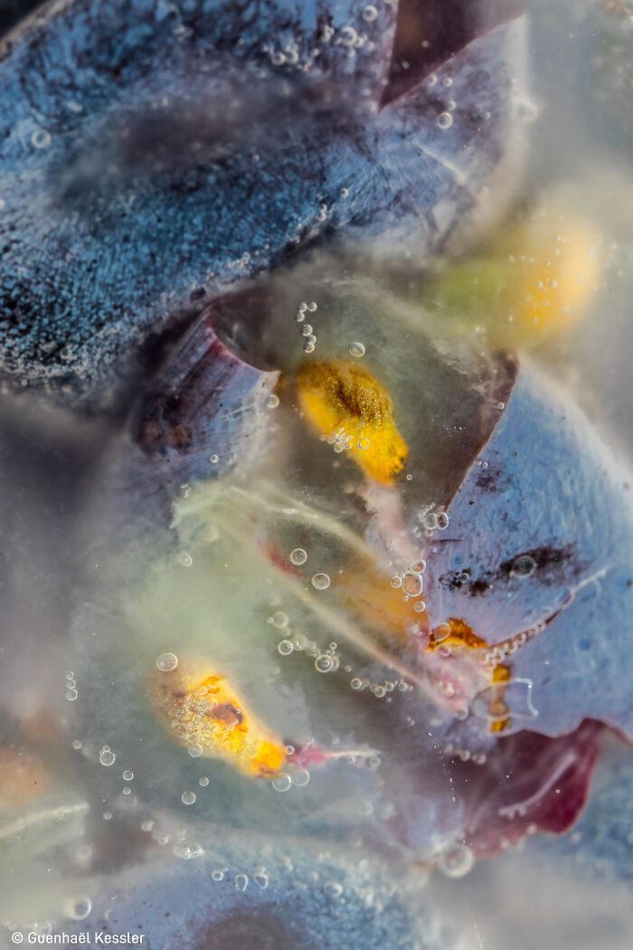 1st Place, Errazuriz Wine Photographer Of The Year - Produce: In The Tank During Alcoholic Fermentation By Guenhaël Kessler