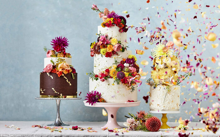 1st Place, Tiptree Cake Award: It's Raining Cake - Hallelujah! By Ming Tang-Evans And Tarunima Sinha