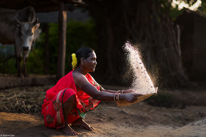 1st Place, The Philip Harben Award For Food In Action: Rice Grain Threshing By Kishore Das